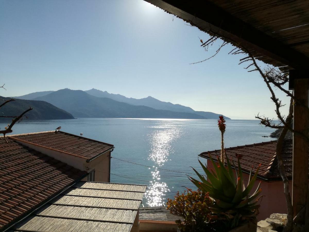 Appartamento La Maison Capoliveri (Isola d'Elba) Exterior foto